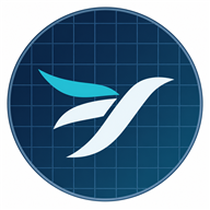 飞鸟微纳技研 Logo